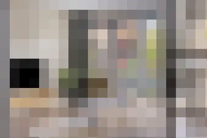 Bongerd 25 Helden thumbnail 10