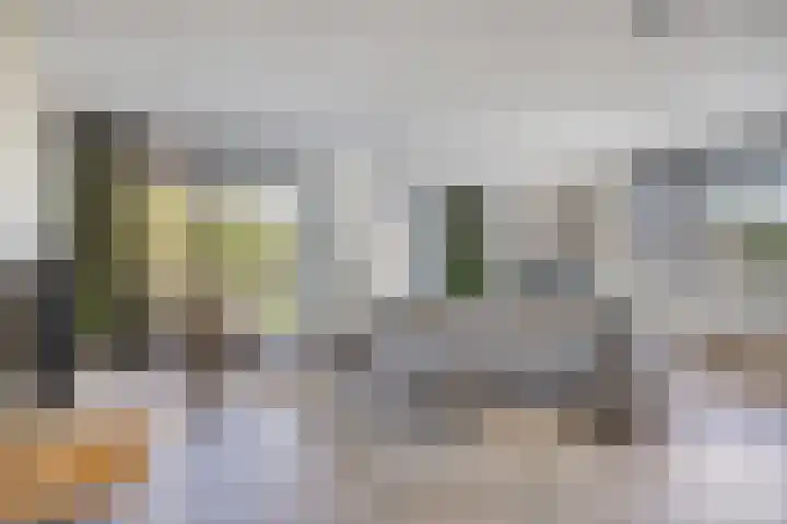 Bongerd 25 Helden thumbnail 11