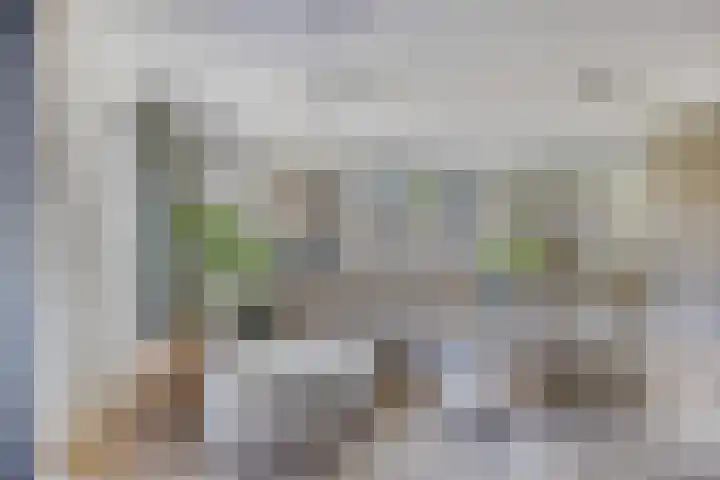 Bongerd 25 Helden thumbnail 13