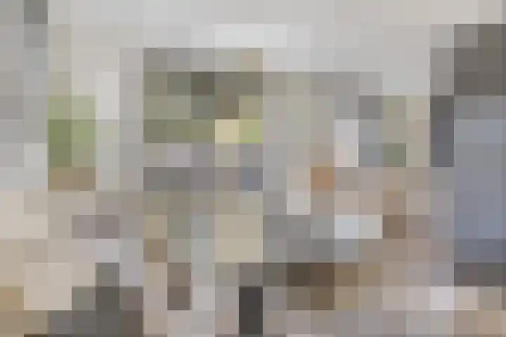 Bongerd 25 Helden thumbnail 16