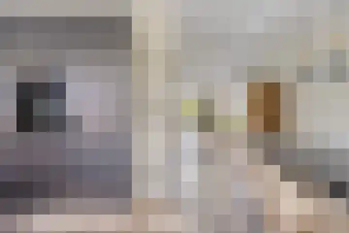 Bongerd 25 Helden thumbnail 23