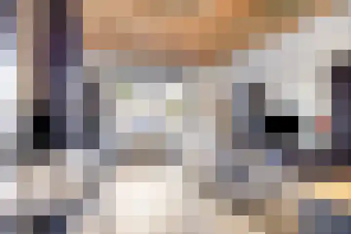 Bongerd 25 Helden thumbnail 24