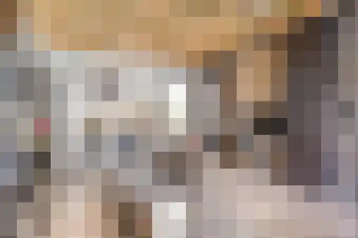 Bongerd 25 Helden thumbnail 25