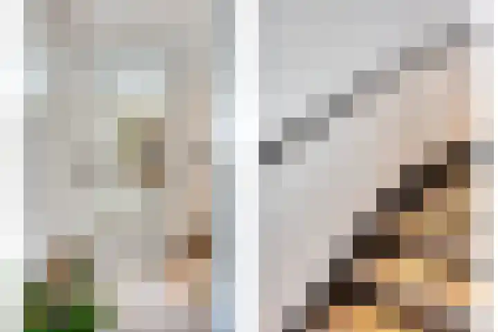 Bongerd 25 Helden thumbnail 26