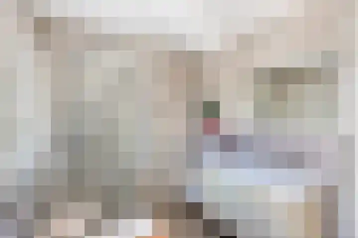 Bongerd 25 Helden thumbnail 32
