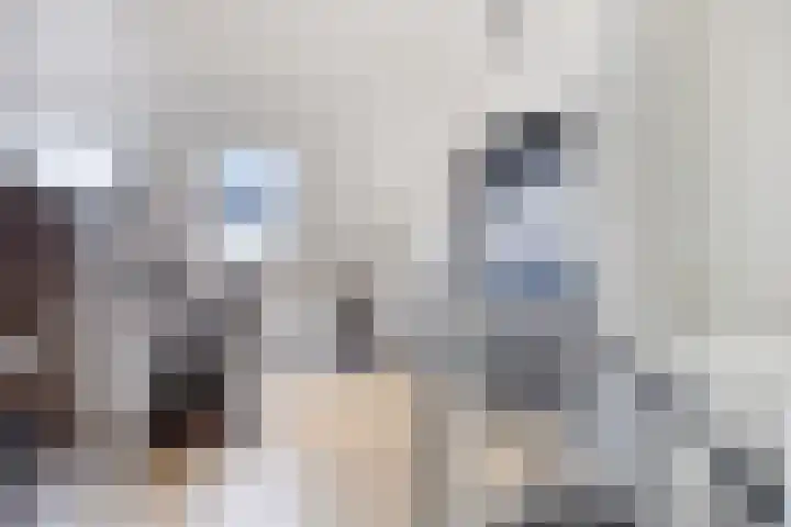 Bongerd 25 Helden thumbnail 38