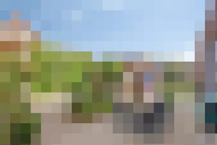 Bongerd 25 Helden thumbnail 41