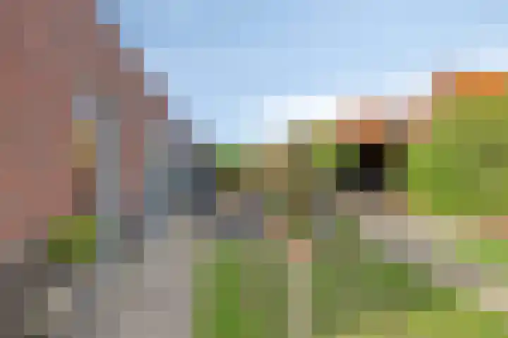Bongerd 25 Helden thumbnail 43