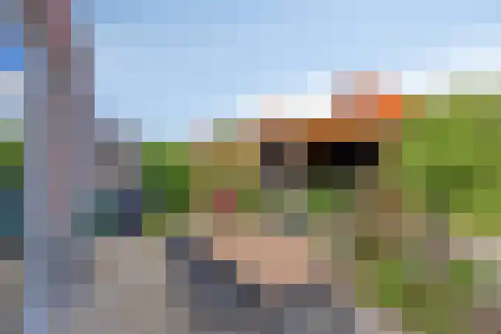 Bongerd 25 Helden thumbnail 44