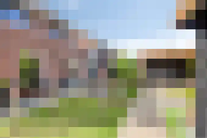 Bongerd 25 Helden thumbnail 45