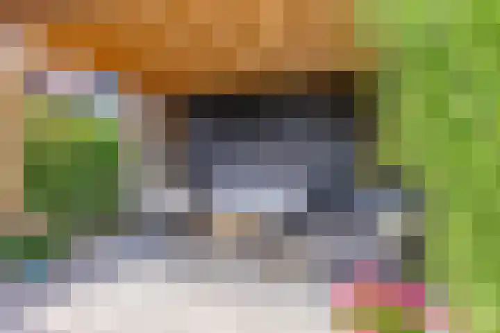 Bongerd 25 Helden thumbnail 47