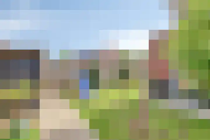 Bongerd 25 Helden thumbnail 48