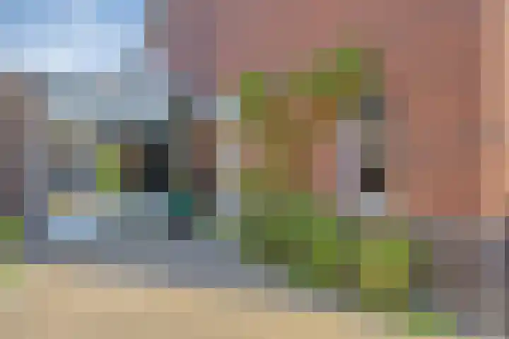 Bongerd 25 Helden thumbnail 5