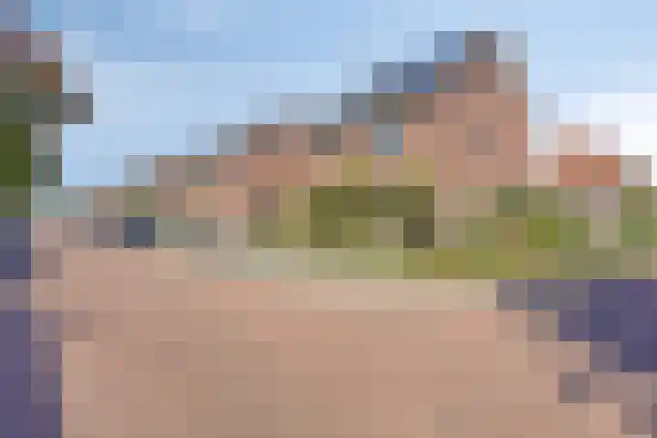 Bongerd 25 Helden thumbnail 51