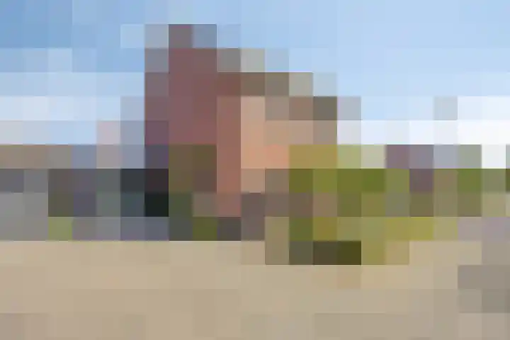 Bongerd 25 Helden thumbnail 53