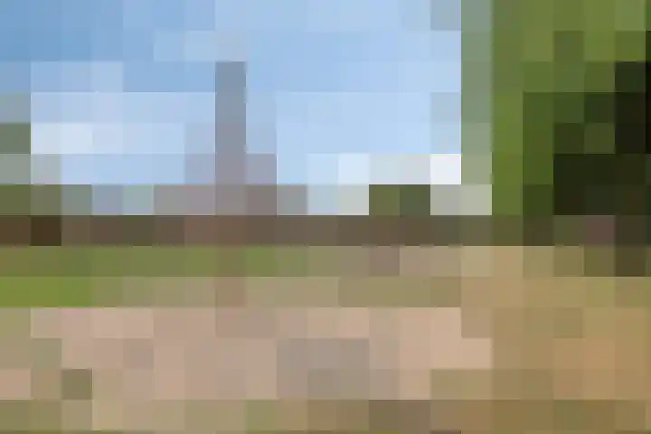 Bongerd 25 Helden thumbnail 55