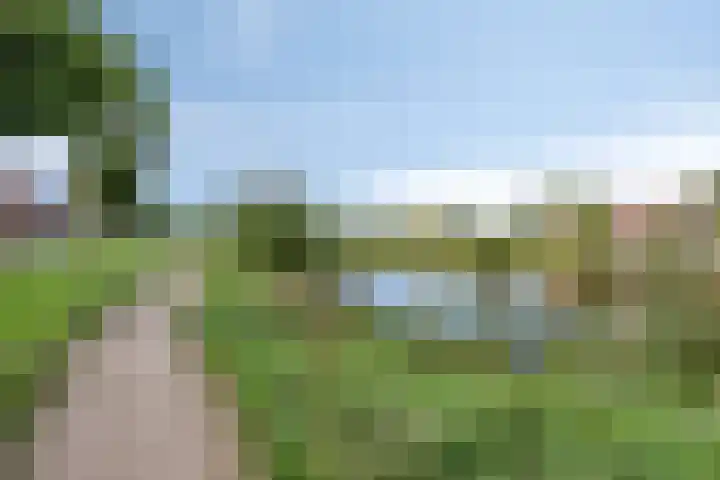 Bongerd 25 Helden thumbnail 56