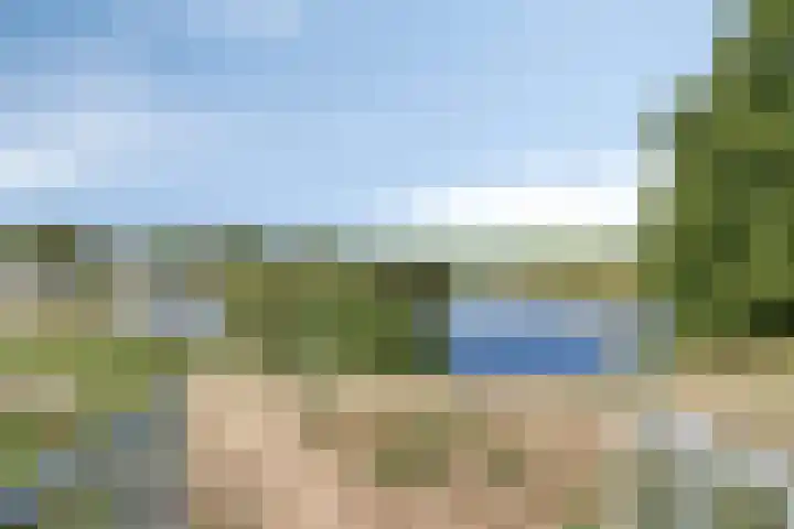 Bongerd 25 Helden thumbnail 57