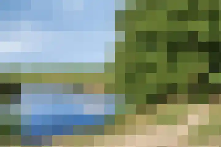 Bongerd 25 Helden thumbnail 58