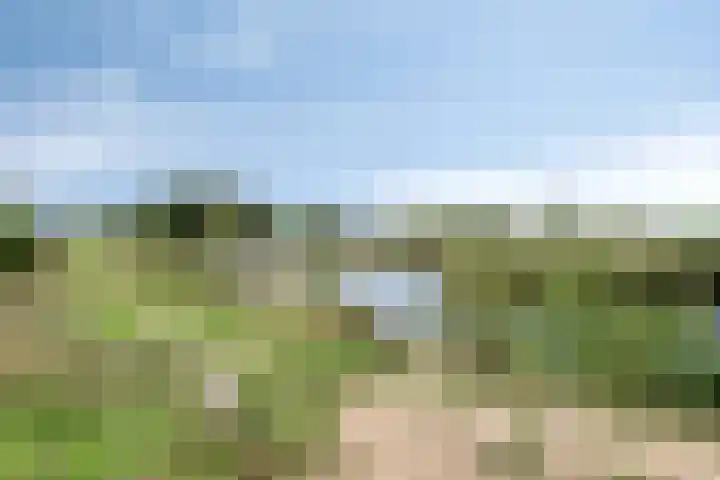 Bongerd 25 Helden thumbnail 59