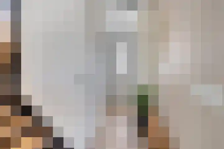 Bongerd 25 Helden thumbnail 7