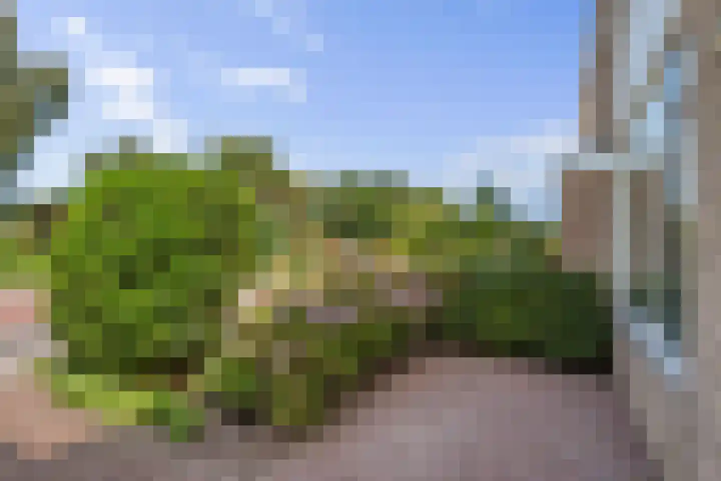 Bongerd 25 Lelystad thumbnail 4