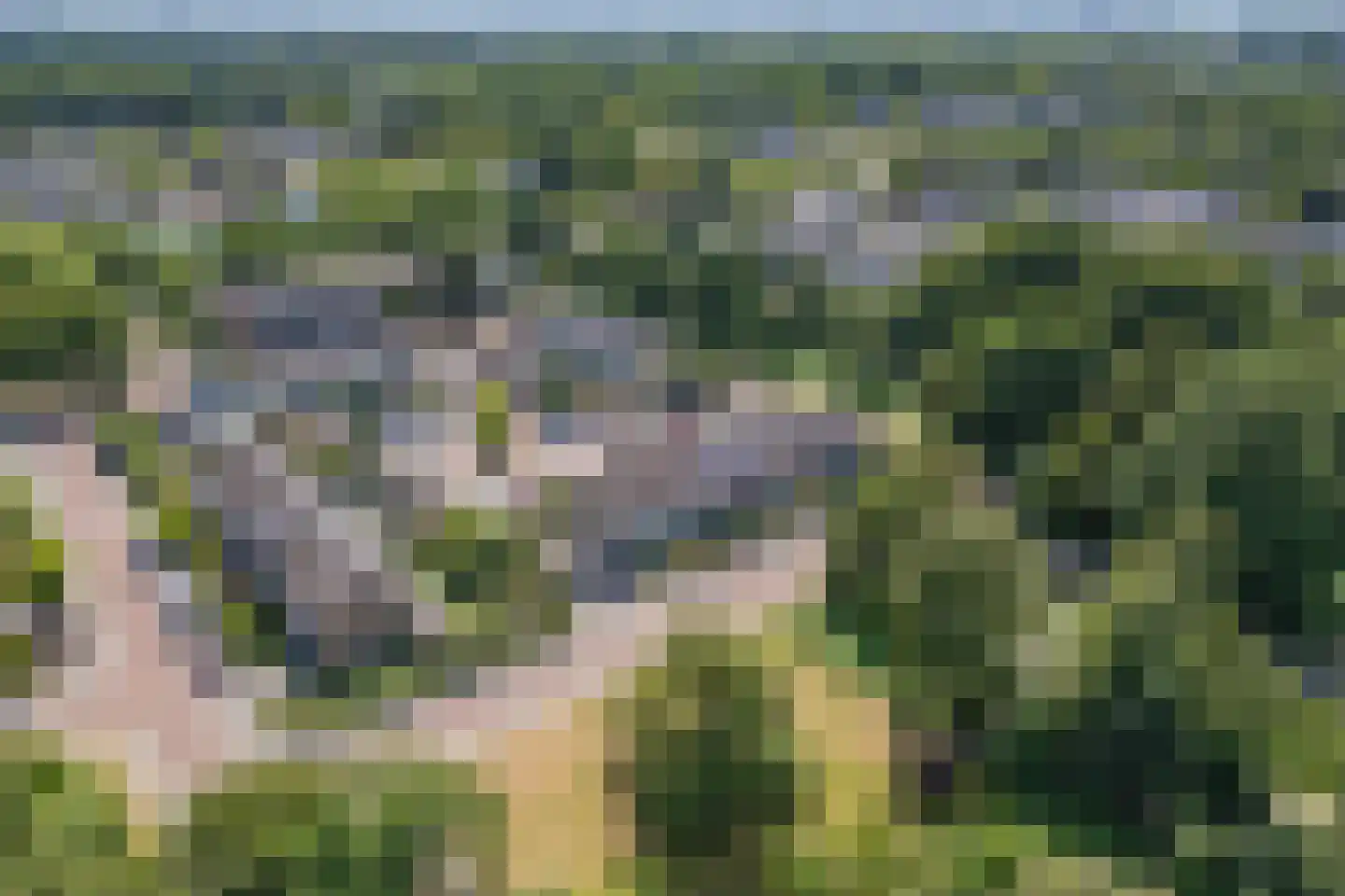 Bongerd 25 Lelystad thumbnail 63