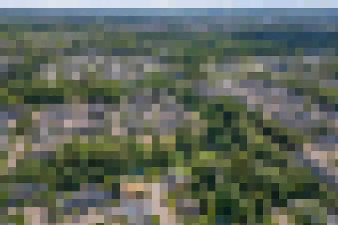 Bongerd 25 Lelystad thumbnail 66