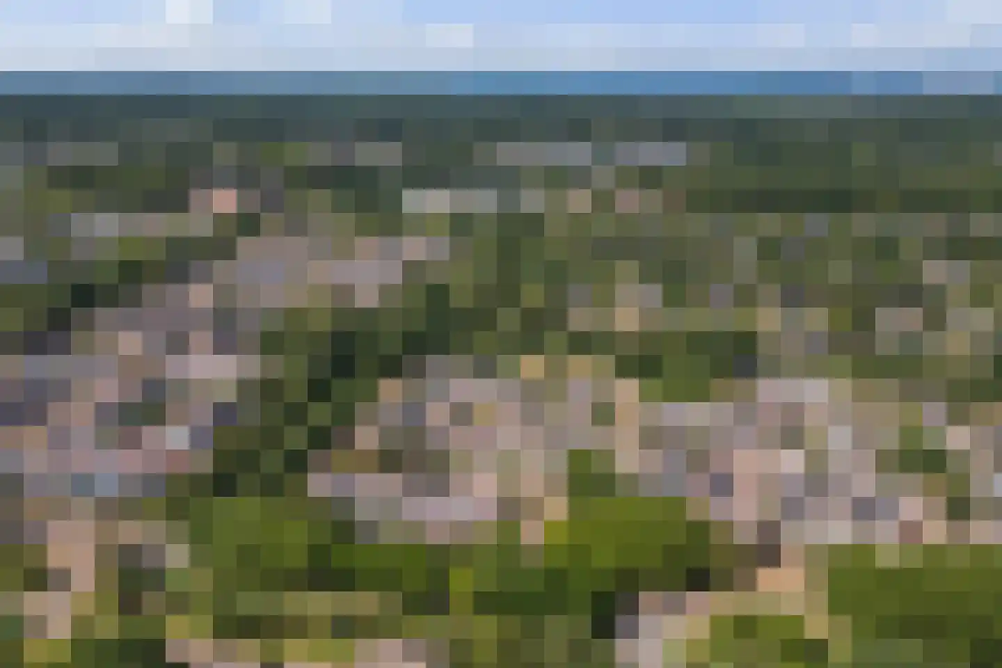 Bongerd 25 Lelystad thumbnail 67