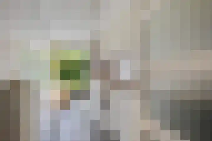 Bongerd 28 Haren Gn thumbnail 34