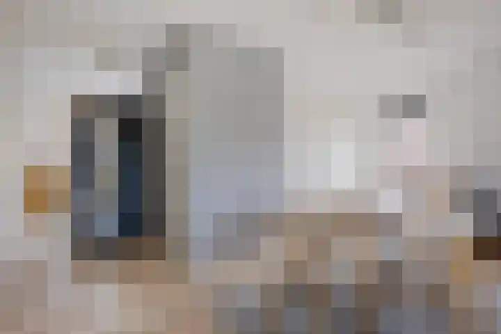 Bongerd 28 Haren Gn thumbnail 37