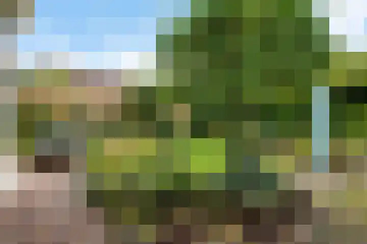 Bongerd 28 Haren Gn thumbnail 42