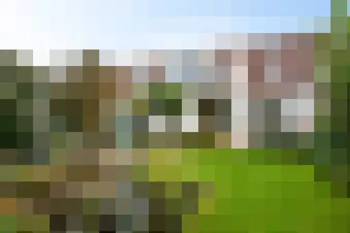 Bongerd 28 Haren Gn thumbnail 44