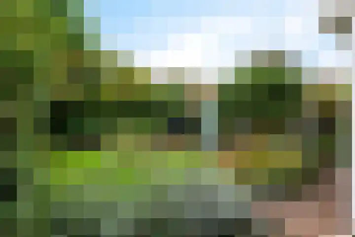 Bongerd 28 Haren Gn thumbnail 45