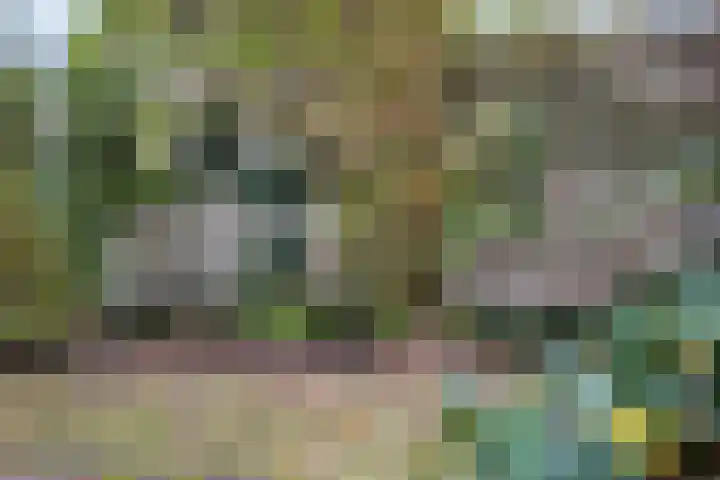 Bongerd 28 Haren Gn thumbnail 46