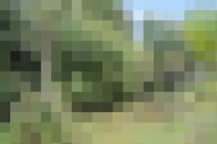 Bongerd 28 Haren Gn thumbnail 47
