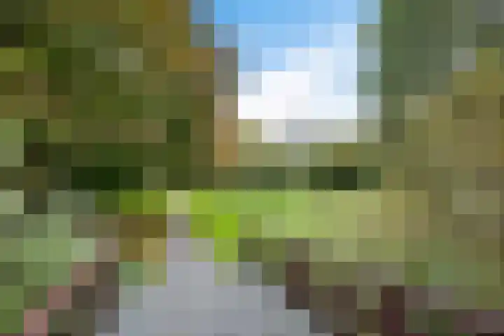 Bongerd 28 Haren Gn thumbnail 48