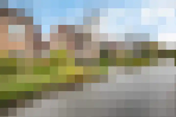 Bongerd 28 Haren Gn thumbnail 6