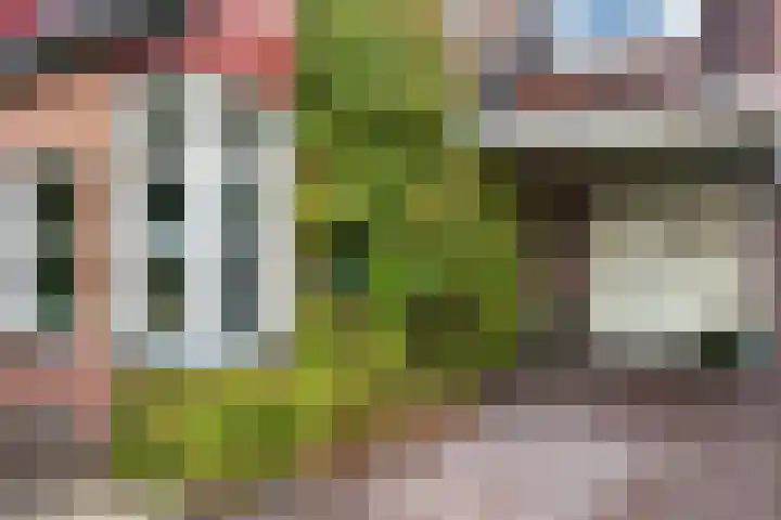 Bongerd 28 Haren Gn thumbnail 7