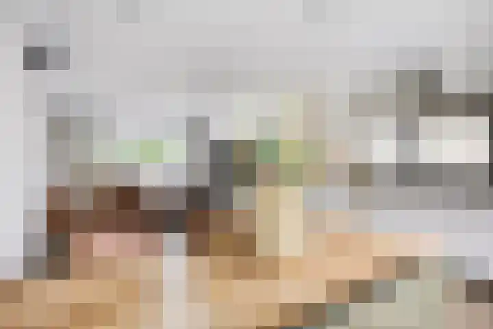 Bongerd 28 Someren thumbnail 10