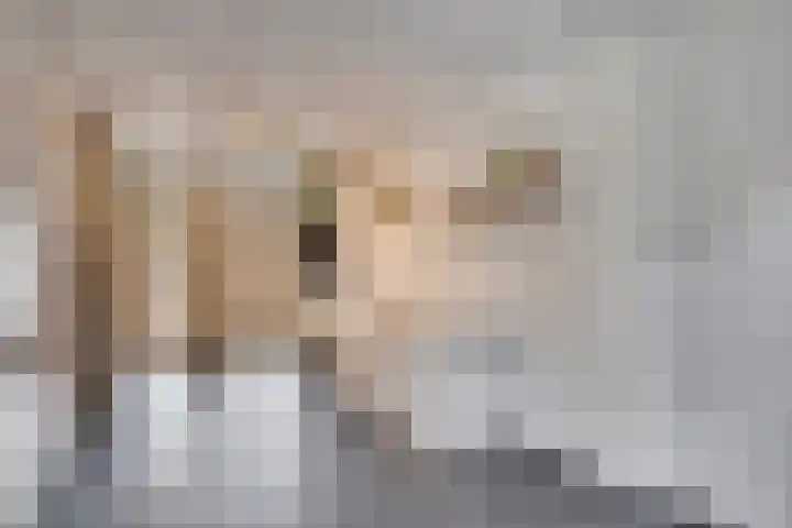 Bongerd 28 Someren thumbnail 17