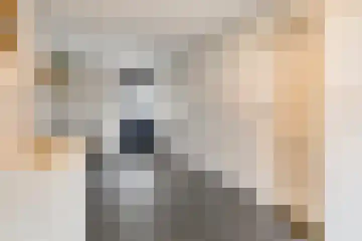 Bongerd 28 Someren thumbnail 18