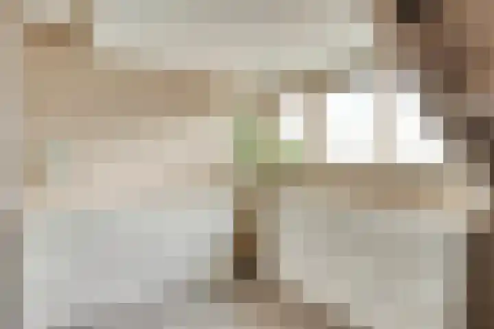 Bongerd 28 Someren thumbnail 30