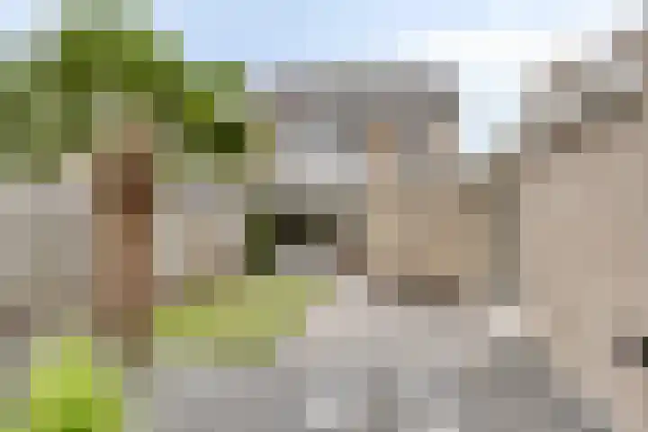 Bongerd 28 Someren thumbnail 35