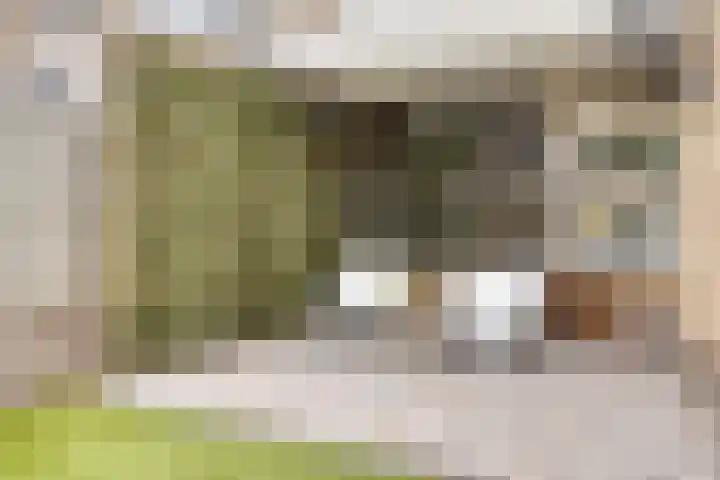 Bongerd 28 Someren thumbnail 36