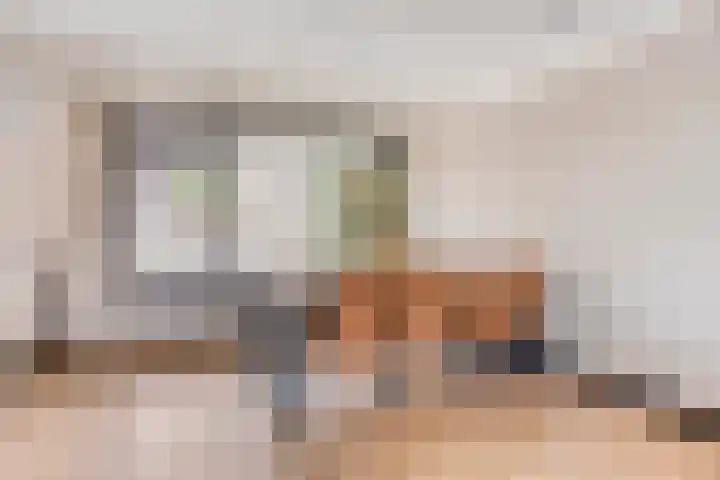 Bongerd 28 Someren thumbnail 8