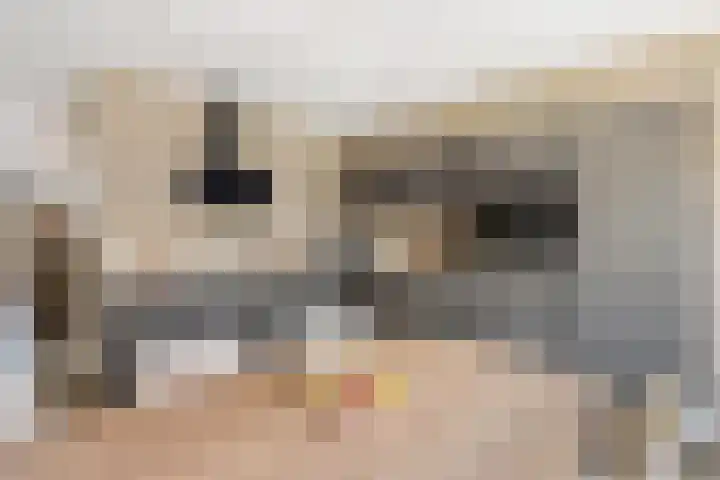 Bongerd 29 Borne thumbnail 11