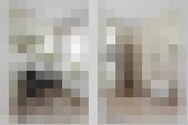 Bongerd 29 Borne thumbnail 12