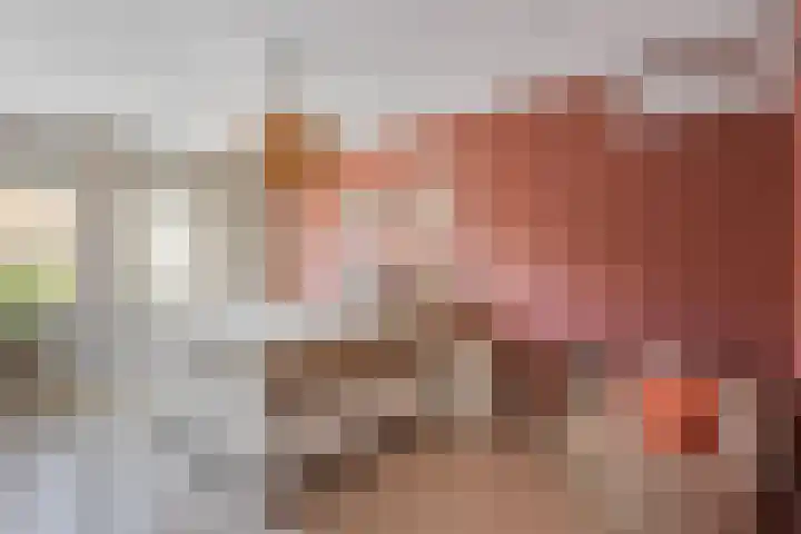 Bongerd 29 Borne thumbnail 13