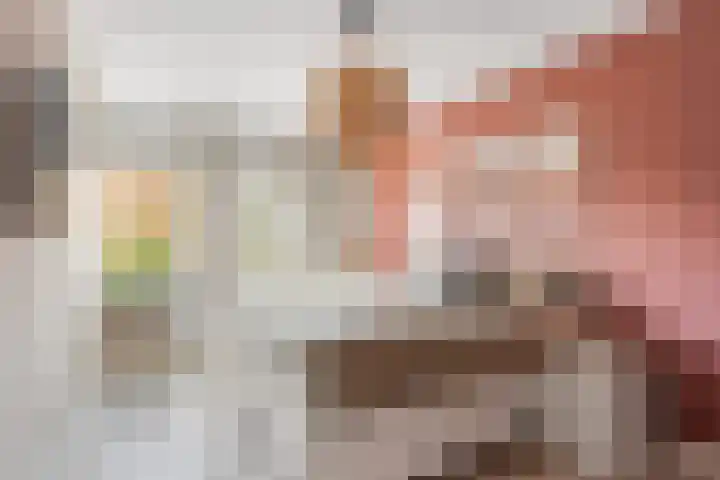 Bongerd 29 Borne thumbnail 14